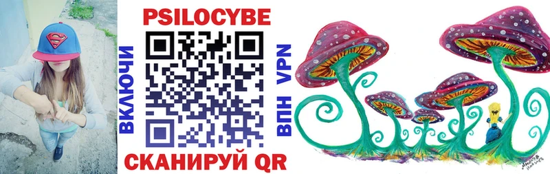 Псилоцибиновые грибы прущие грибы  ОМГ ОМГ ссылка  Шацк  как найти  