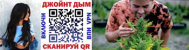 ОМГ ОМГ ссылка  купить   Шацк  Канабис SATIVA & INDICA 